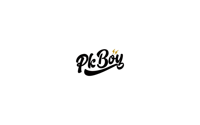PkBoy标识设计
